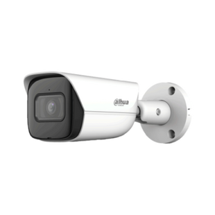 Camera de supraveghere DH-IPC-HFW3441EP-SA